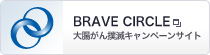 BRAVE CIRCLE