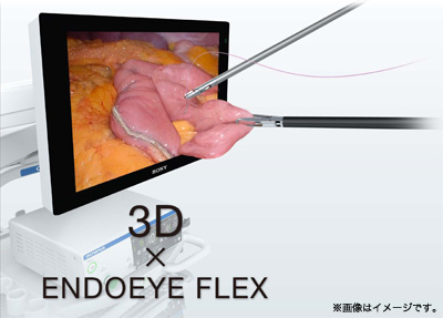 3D X ENDOEYE FLEX