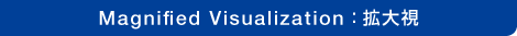 Magnified Visualization:拡大視 Magnified Visualization:拡大視